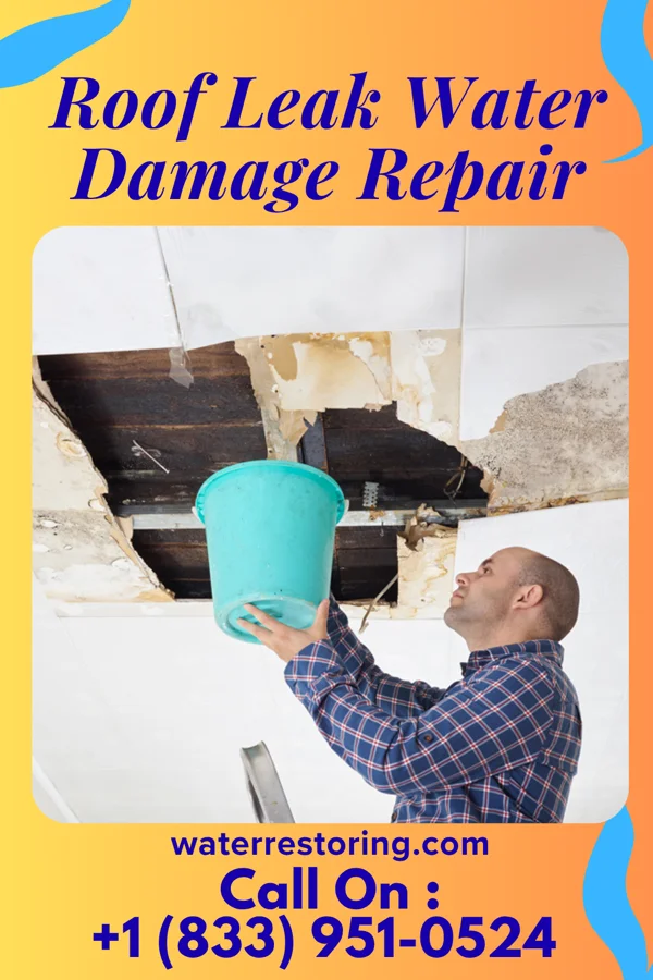 Roof Leak Water Damage Repair in Fidelity, MO