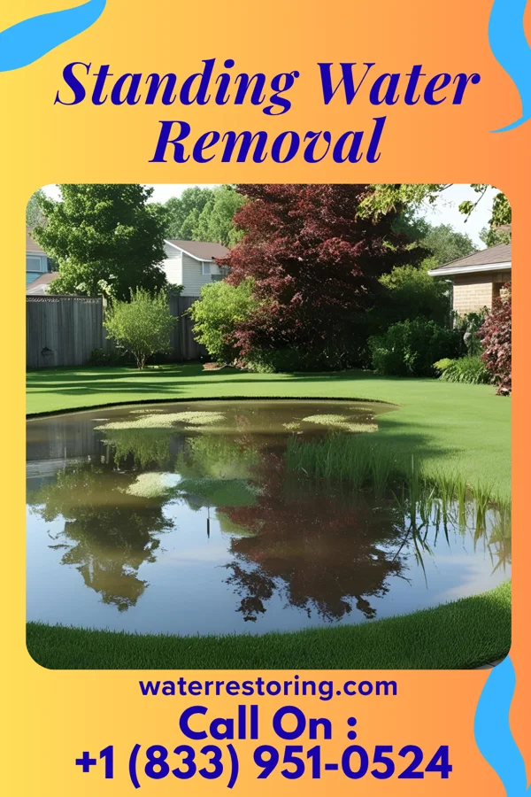 Standing Water Removal in Fidelity, MO